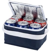 Spectrum 6-can cooler bag