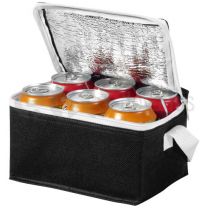 Spectrum 6-can cooler bag