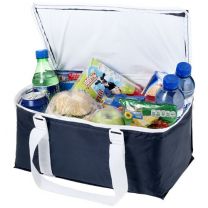 Larvik cooler bag